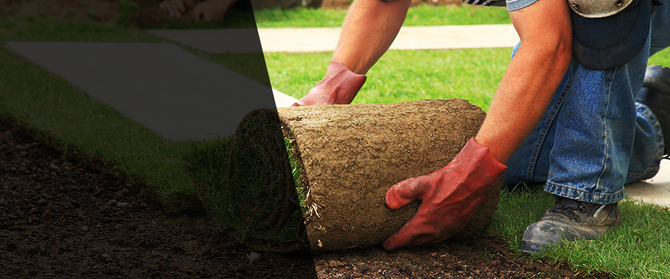 Hartly Landscapers